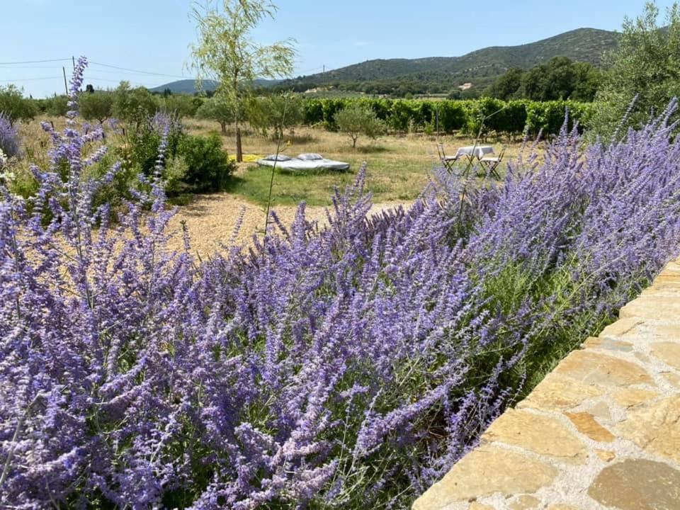 Maison d'hôtes Bastide St Victor à 2,5 kilomètres de Lourmarin Puyvert Exterior foto